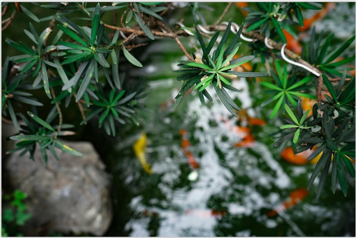 1592462803357331.jpg QQ截圖20200618144625.jpg