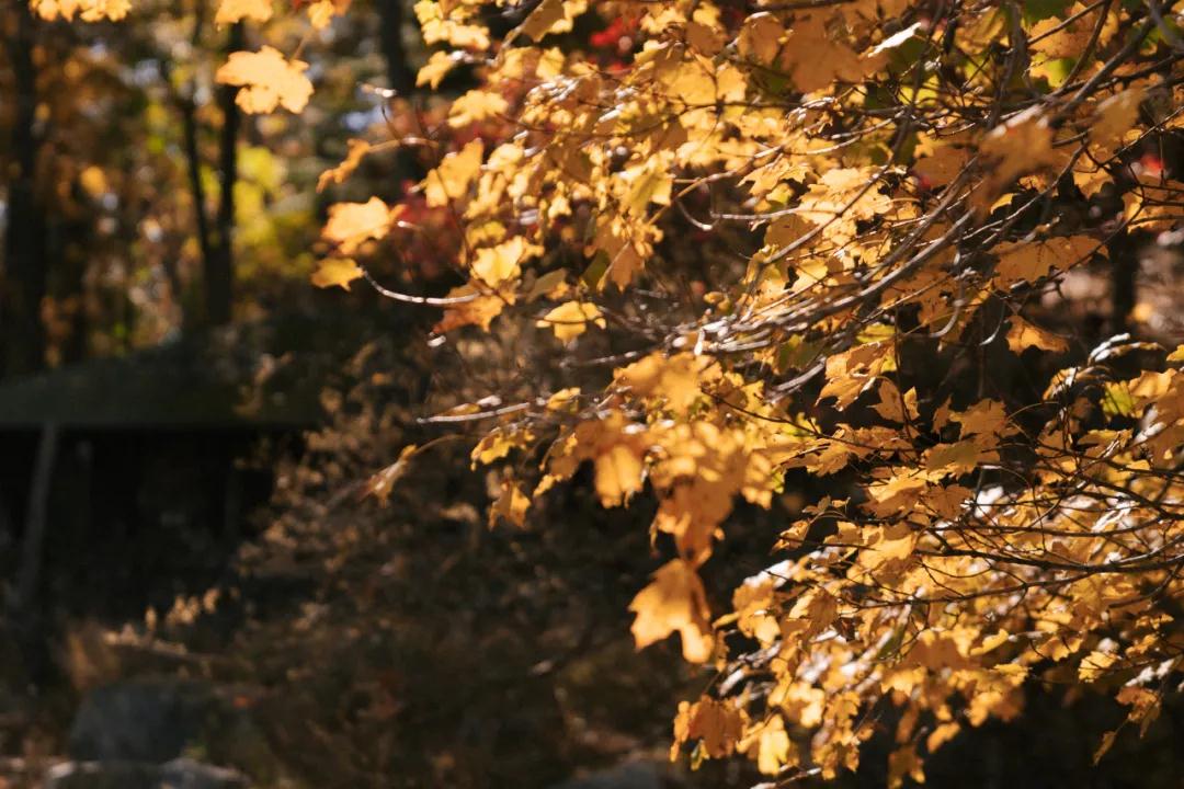 1609833390731358.jpg 微信圖片_20210105155618.jpg